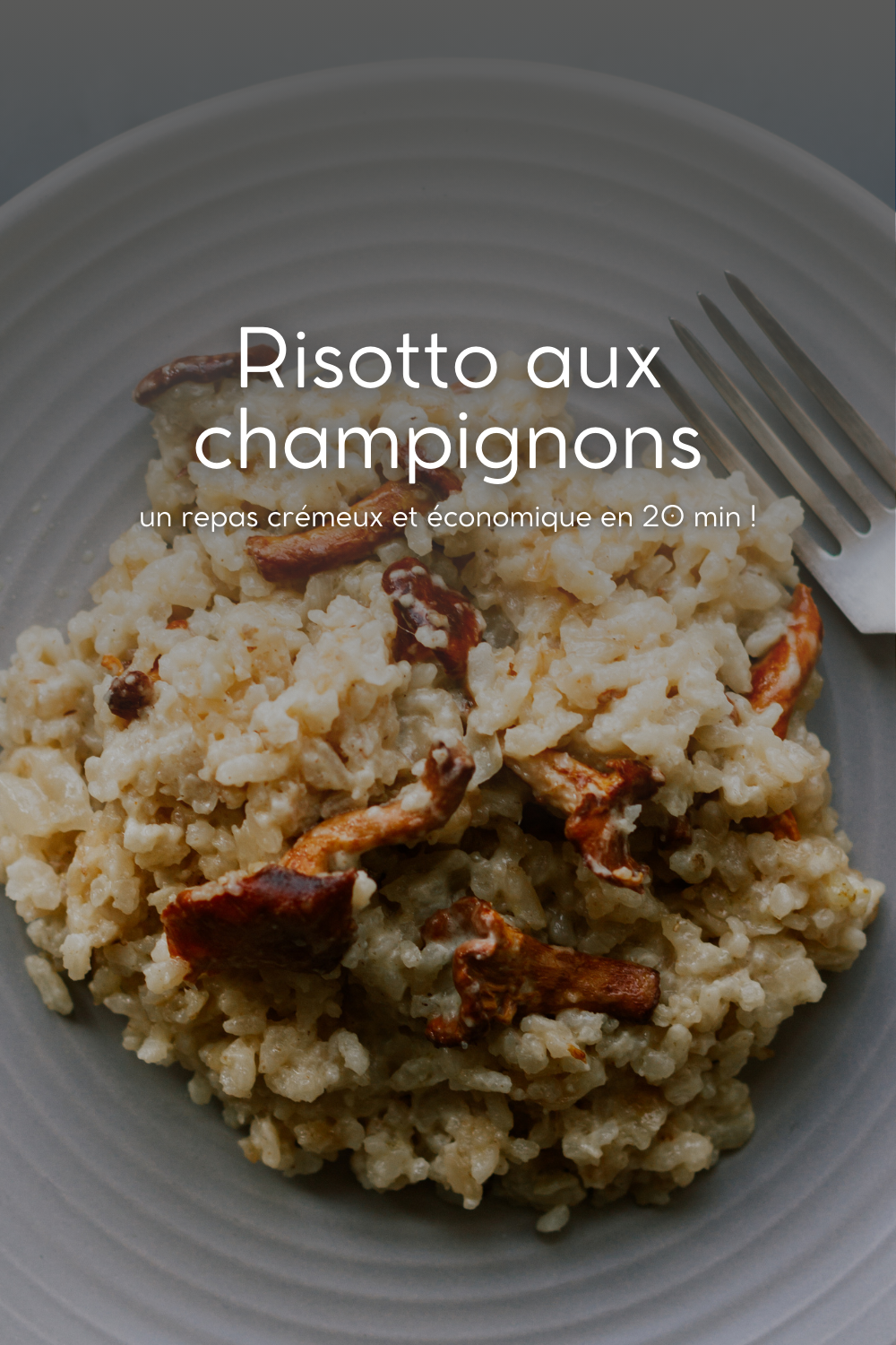 Risotto aux champignons