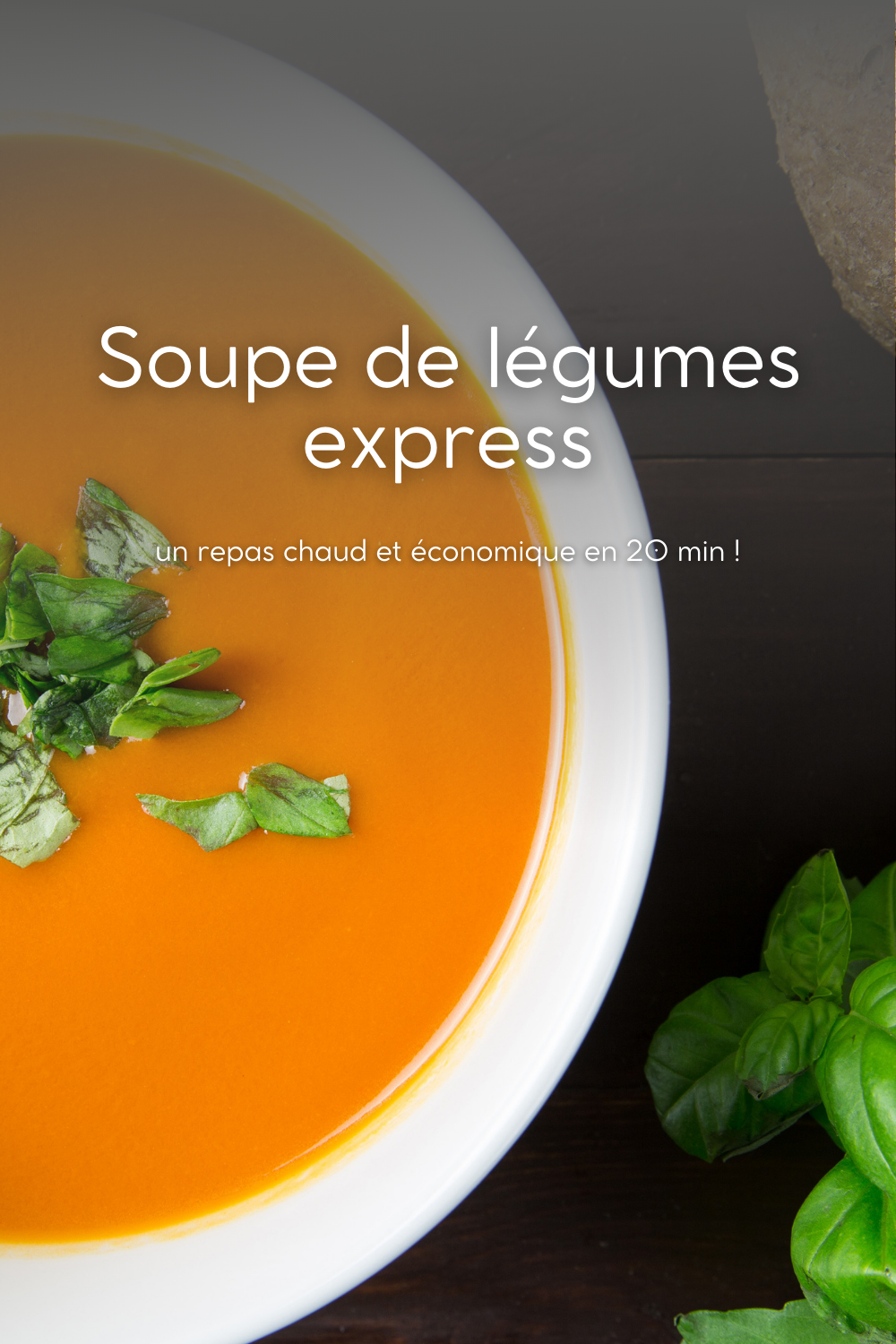 Soupe de légumes express